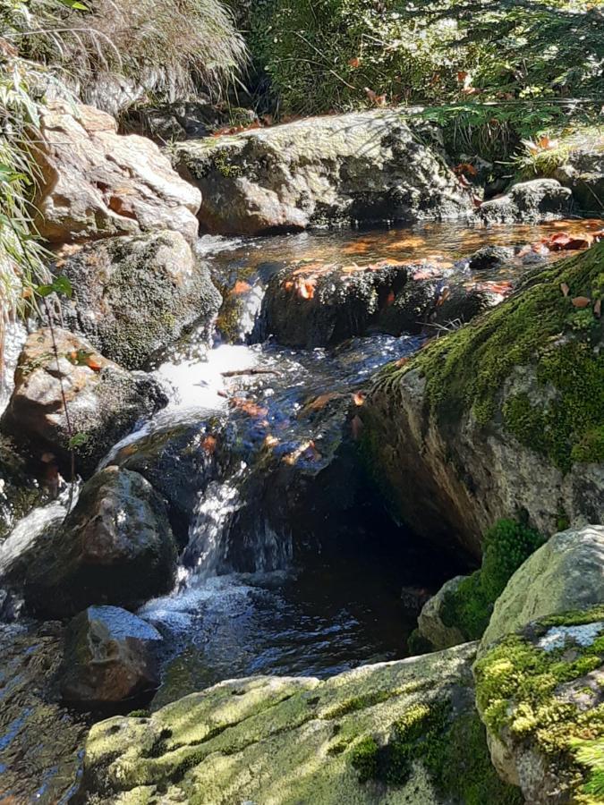 Anno - Wohlfuehlen Am Bachal In Altschoenau Neuschönau Exterior foto