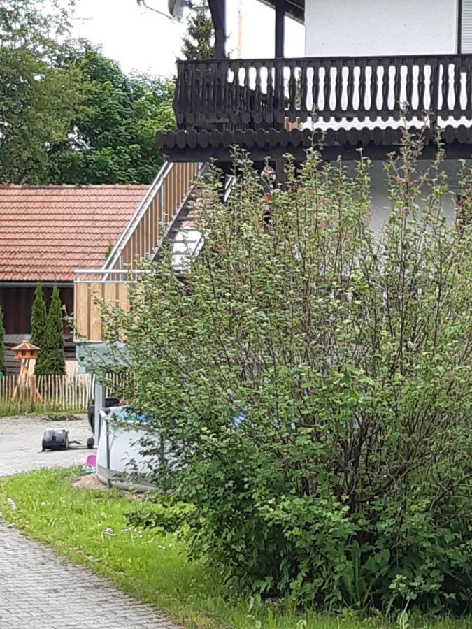 Anno - Wohlfuehlen Am Bachal In Altschoenau Neuschönau Exterior foto