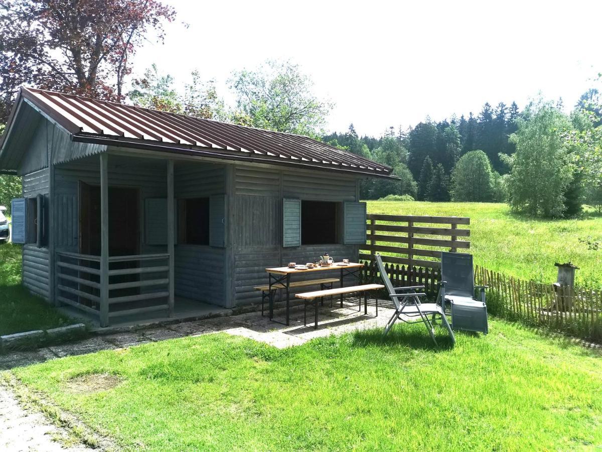 Anno - Wohlfuehlen Am Bachal In Altschoenau Neuschönau Exterior foto