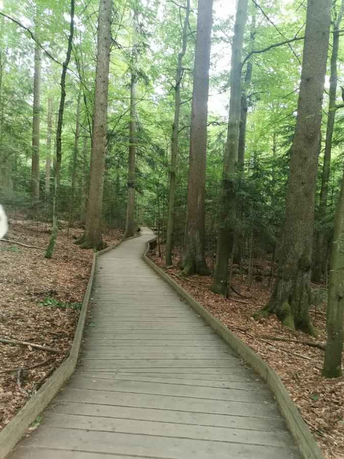 Anno - Wohlfuehlen Am Bachal In Altschoenau Neuschönau Exterior foto