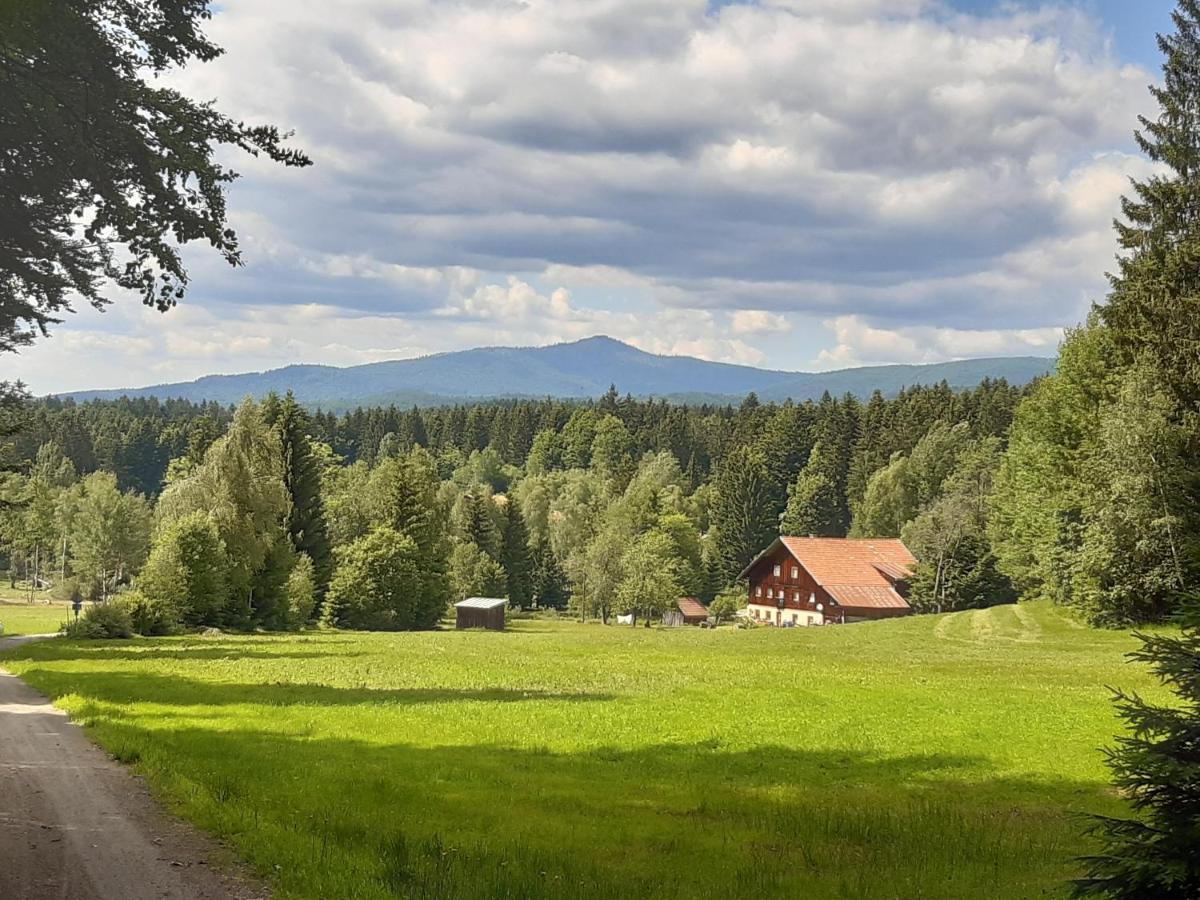 Anno - Wohlfuehlen Am Bachal In Altschoenau Neuschönau Exterior foto